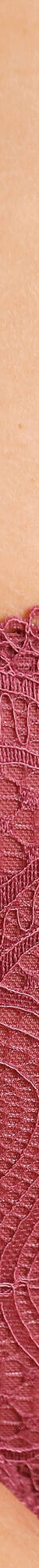 Culotte haute en dentelle et microfibre Orellana - lot de 2  (prune) Culotte haute en dentelle et microfibre Orellana - lot de 2  (prune)
